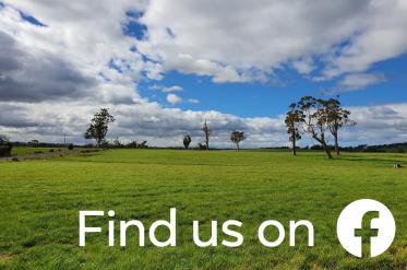 Visit Delmade on Facebook