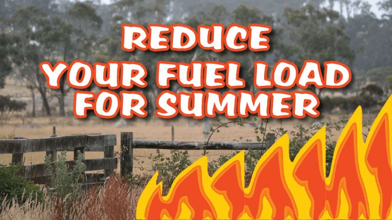 Take Control Now - reduce your fuel load for summer image
