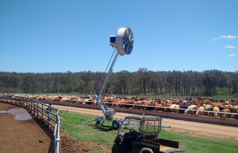 Tow n Blow in use - Cattle Yards